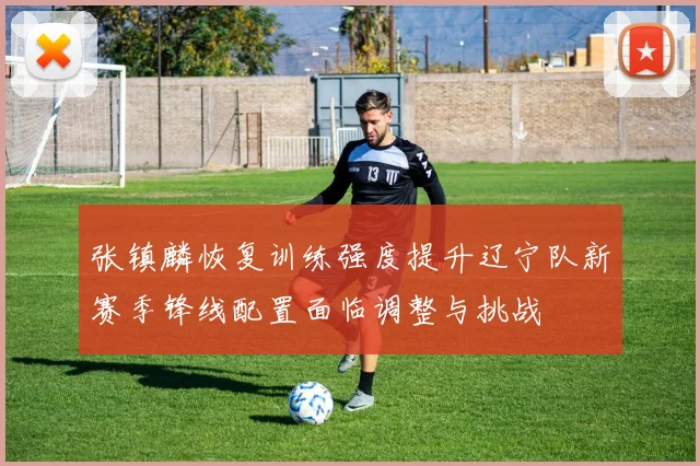 张镇麟恢复训练强度提升辽宁队新赛季锋线配置面临调整与挑战